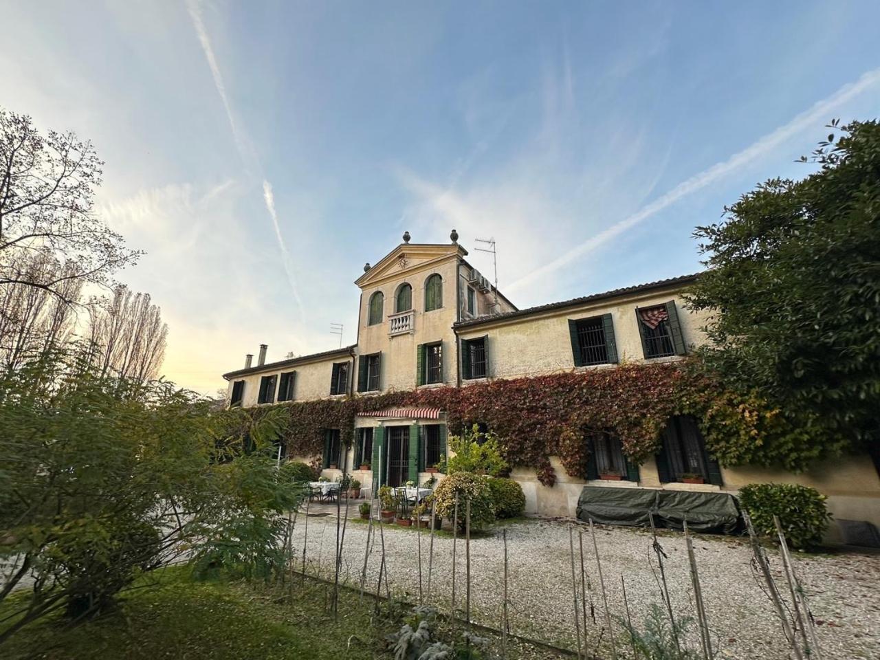B&B Villa Gradenigo Lancenigo ภายนอก รูปภาพ
